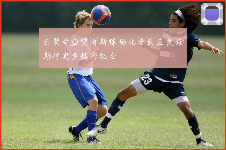 东契奇盛赞海斯球场化学反应良好期待更多精彩配合