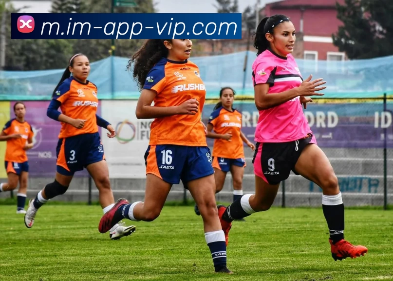 IM体育服务体系