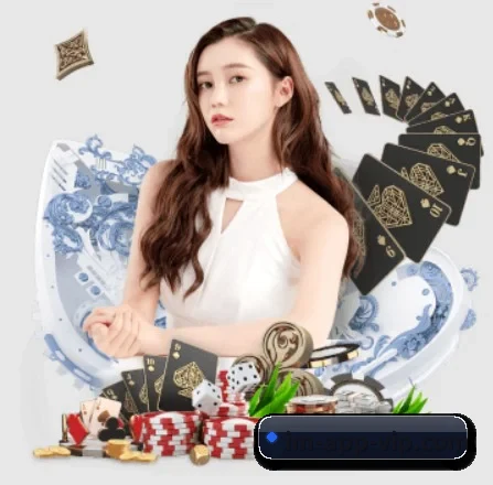 IM体育 APP
